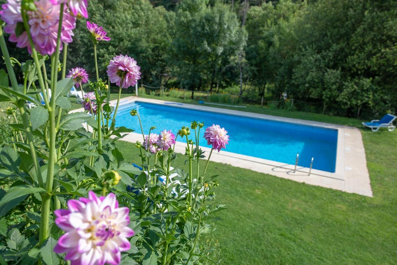 Quinta Da Rabacosa - Turismo Rural Каштру-Дайри Экстерьер фото