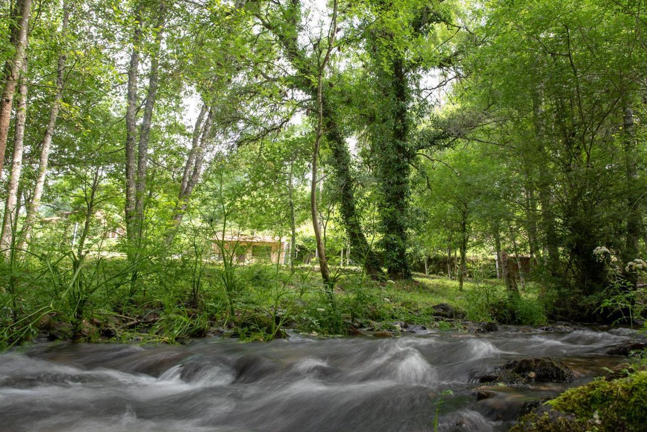 Quinta Da Rabacosa - Turismo Rural Каштру-Дайри Экстерьер фото