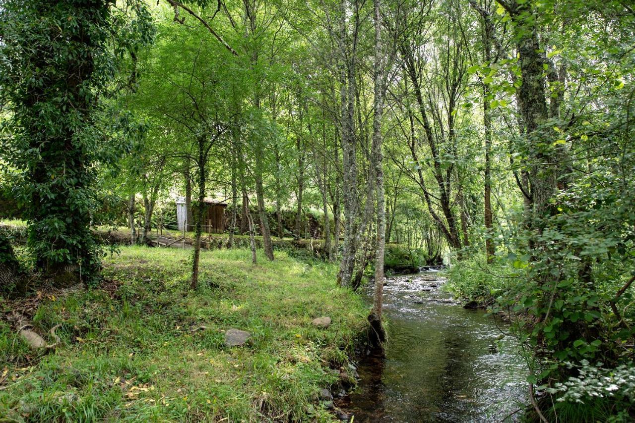 Quinta Da Rabacosa - Turismo Rural Каштру-Дайри Экстерьер фото