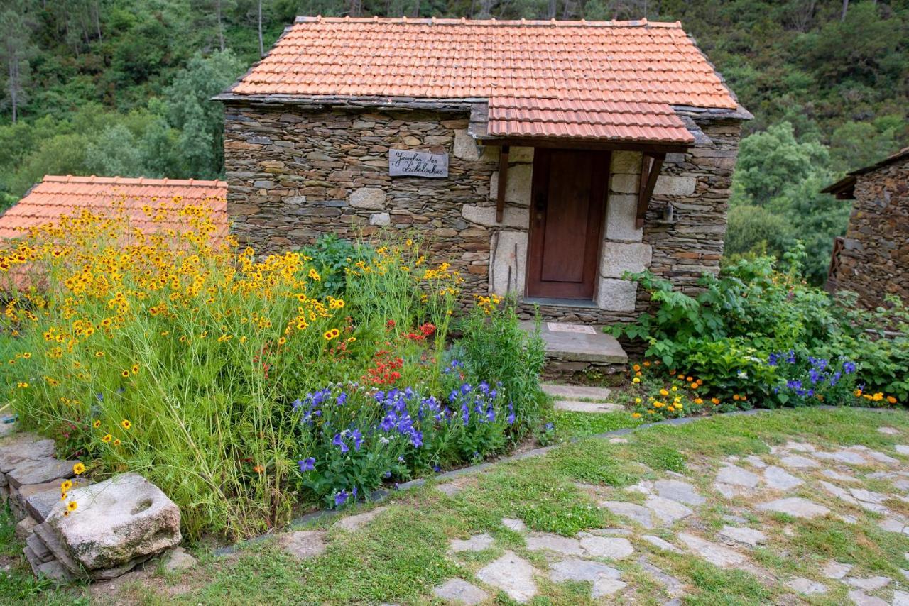 Quinta Da Rabacosa - Turismo Rural Каштру-Дайри Экстерьер фото